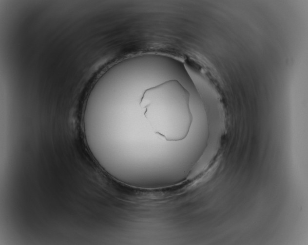 X0000092021210200710041037