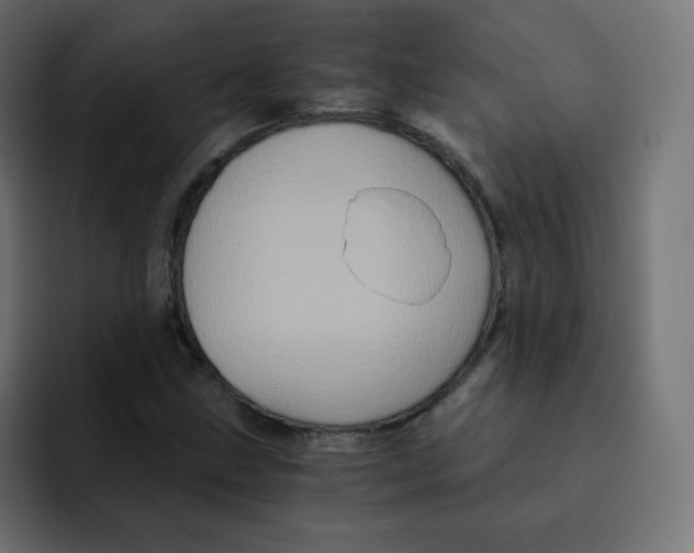 X0000092021211200710041037