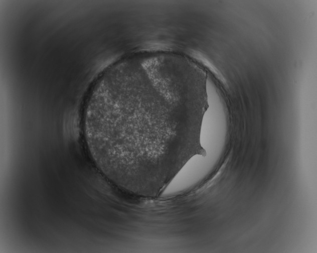 X0000092021213200710041037