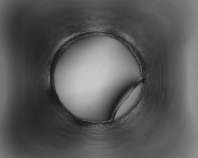 X0000092021214200710041037