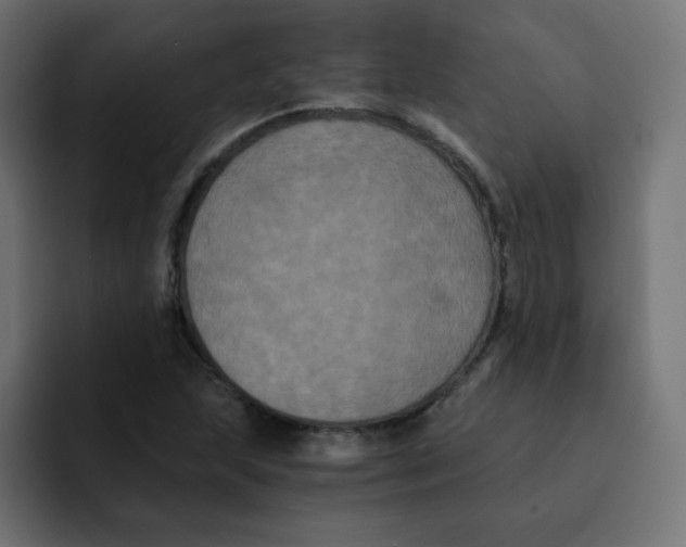 X0000092021215200710041037