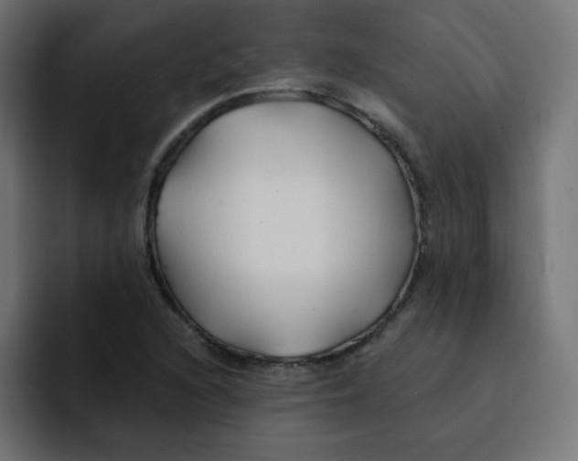 X0000092021216200710041037