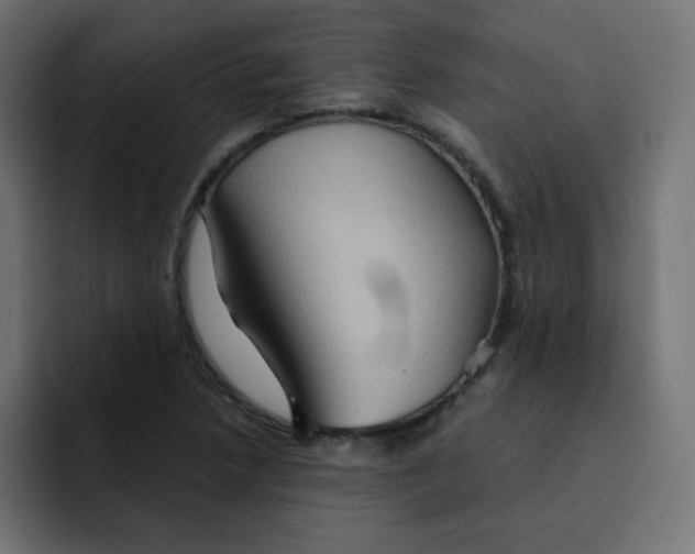 X0000092021218200710041037