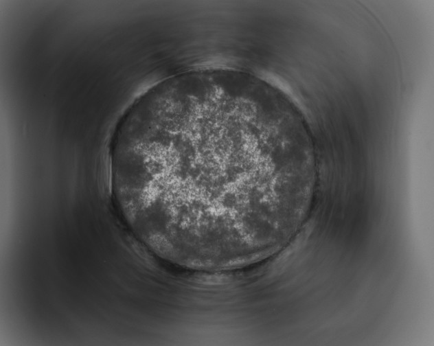 X0000092021219200710041037