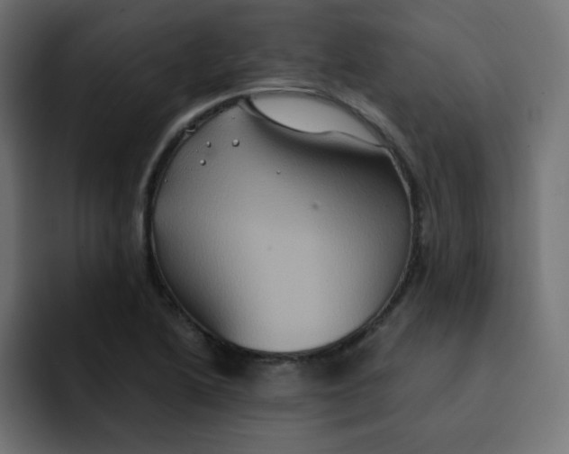 X0000092021222200710041037