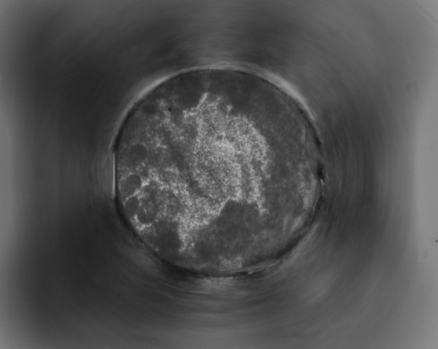 X0000092021223200710041037