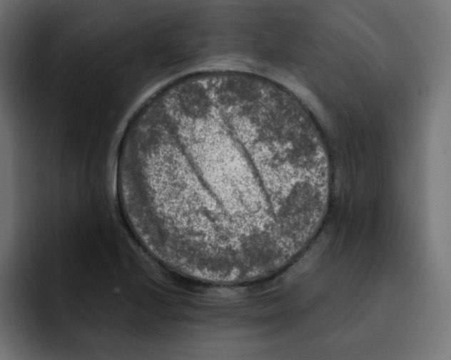 X0000092021224200710041037