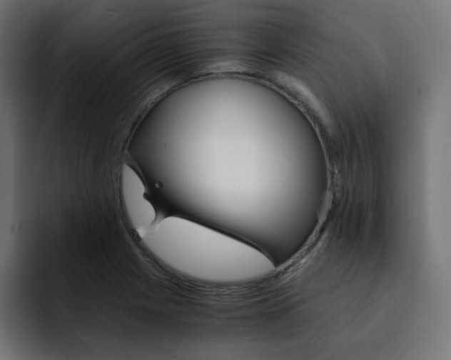 X0000092021225200710041037