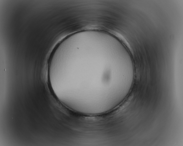 X0000092021227200710041037