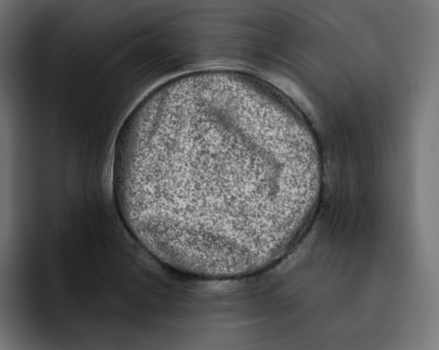 X0000092021228200710041038