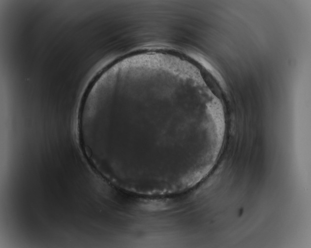 X0000092021229200710041038