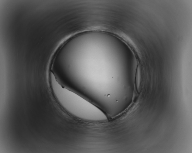 X0000092021230200710041038