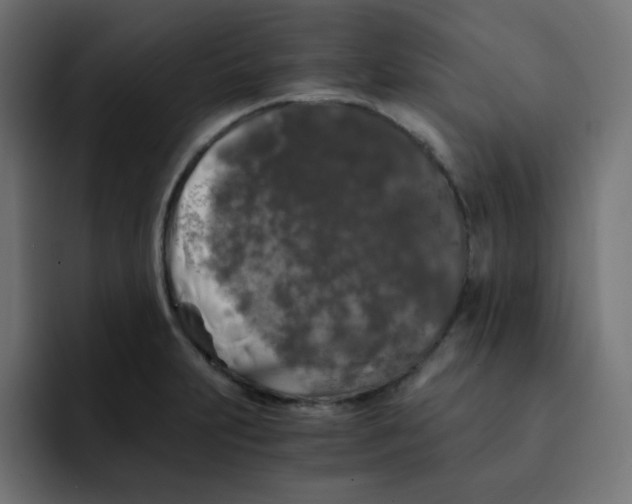 X0000092021231200710041038