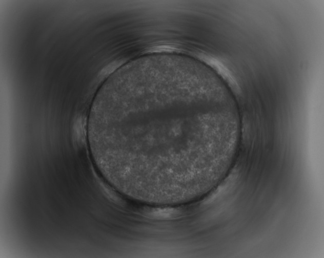 X0000092021233200710041038