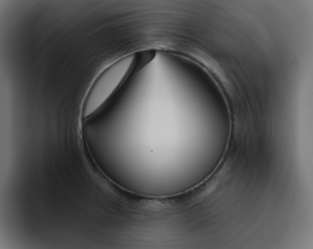 X0000092021234200710041038