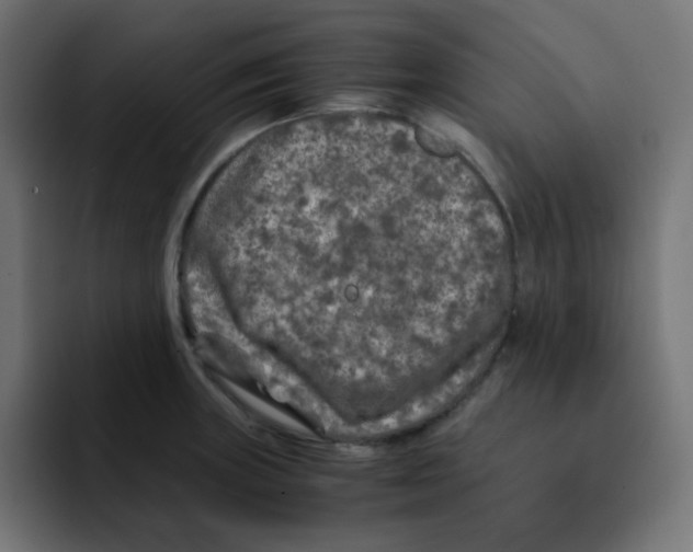 X0000092021235200710041038