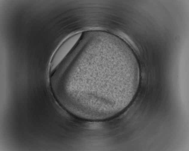 X0000092021236200710041038