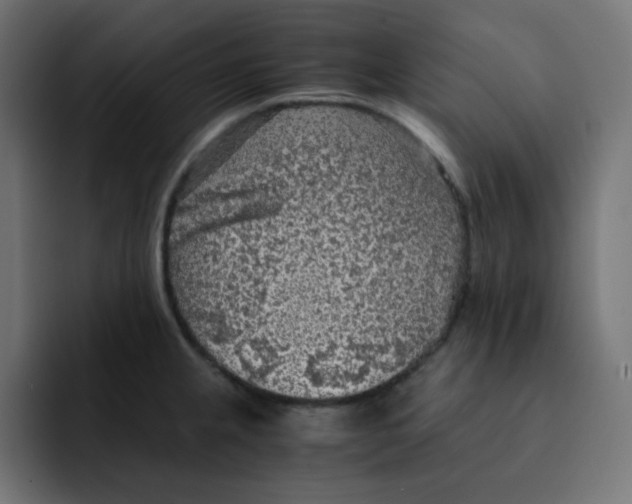 X0000092021237200710041038