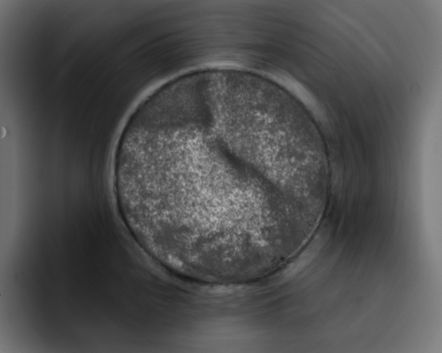 X0000092021240200710041038