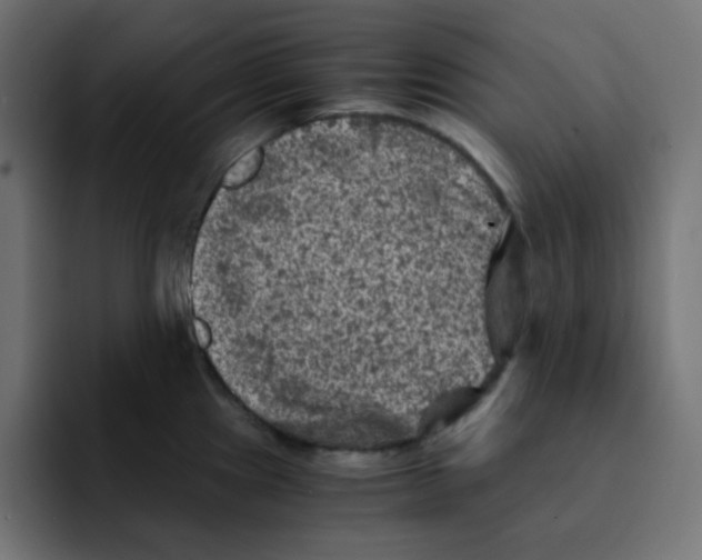 X0000092021241200710041038