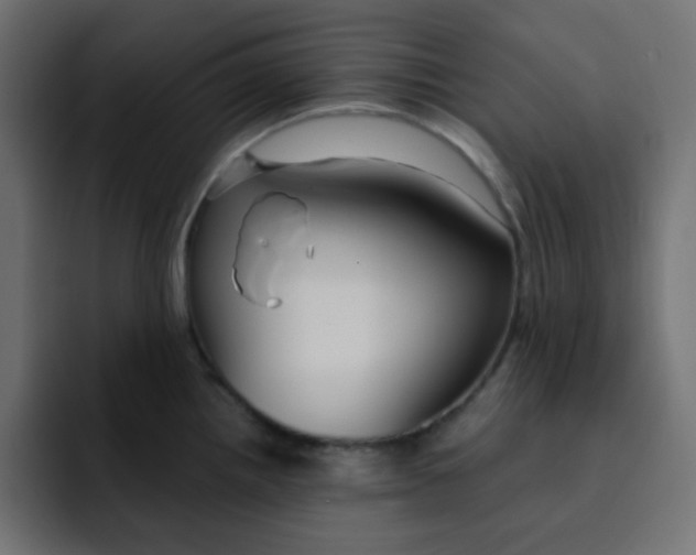 X0000092021242200710041038