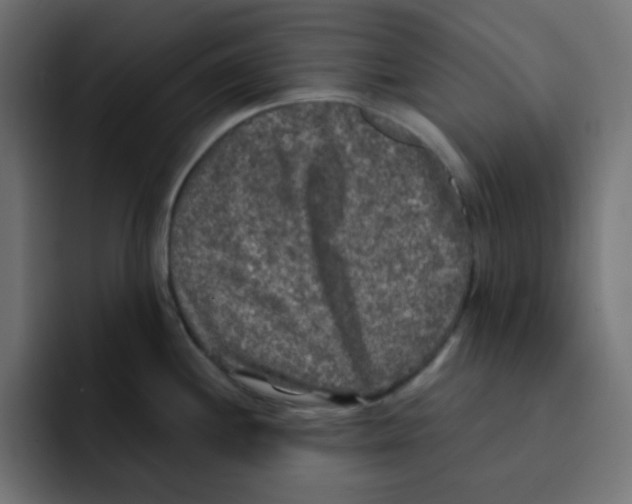 X0000092021244200710041038