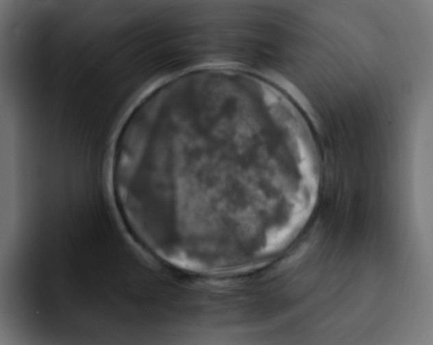 X0000092021245200710041038