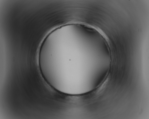 X0000092021246200710041038