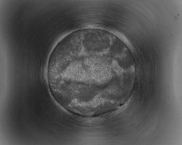 X0000092021247200710041038