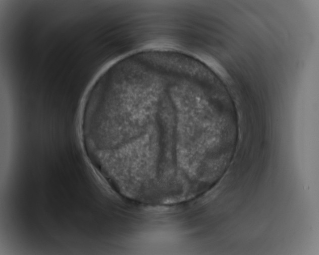 X0000092021248200710041038