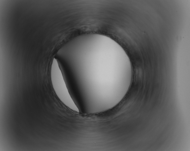 X0000092021250200710041037