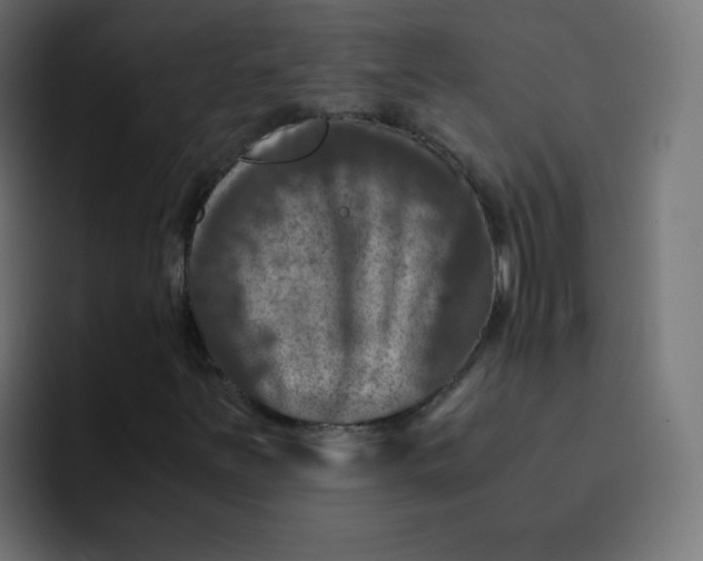 X0000092021251200710041037