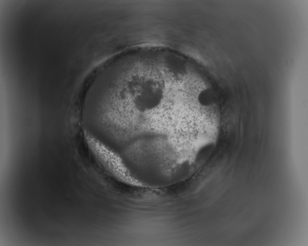 X0000092021255200710041037