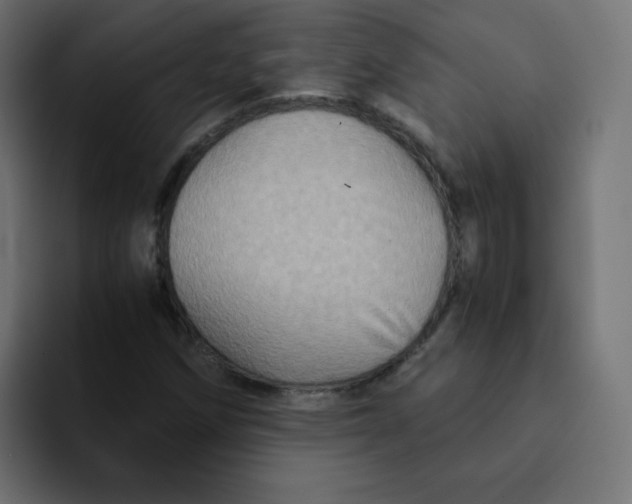 X0000092021258200710041037