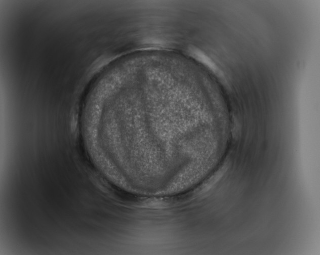 X0000092021259200710041037