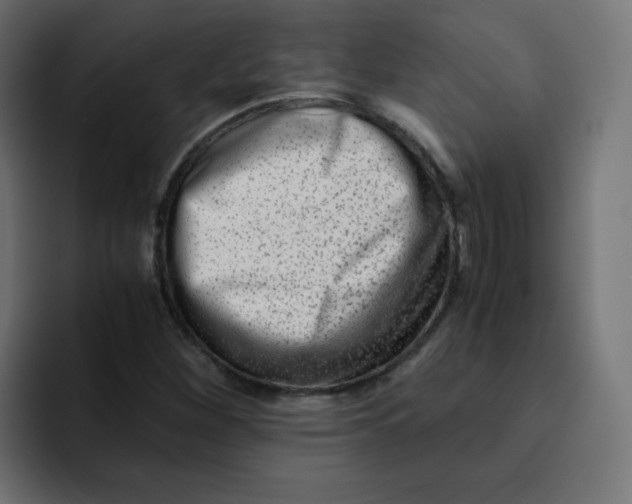 X0000092021260200710041037