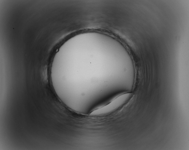 X0000092021262200710041037