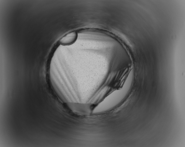 X0000092021264200710041037