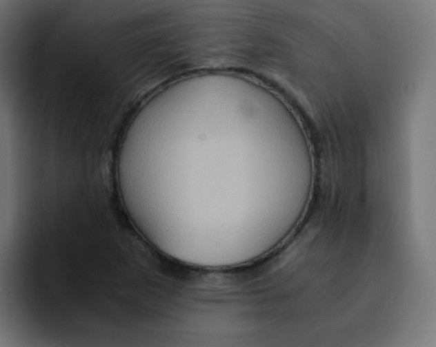 X0000092021265200710041037