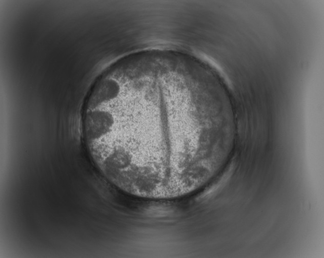 X0000092021267200710041037