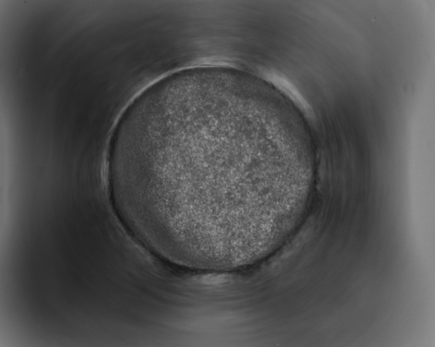 X0000092021268200710041037