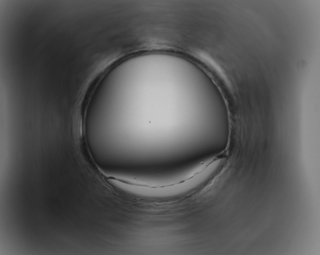 X0000092021269200710041037