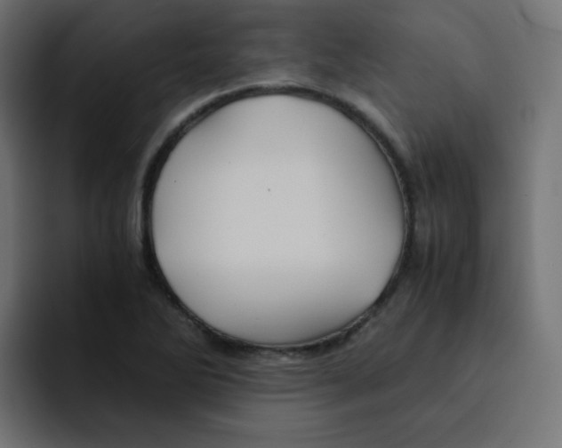 X0000092021270200710041037