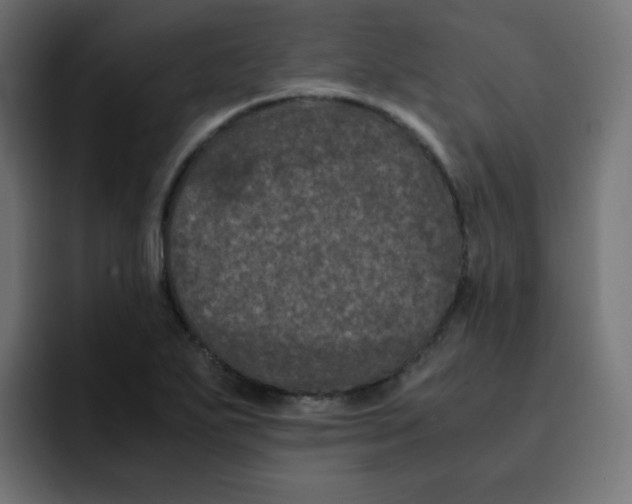 X0000092021271200710041037