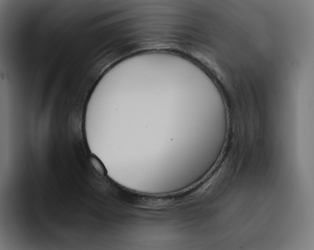 X0000092021273200710041037