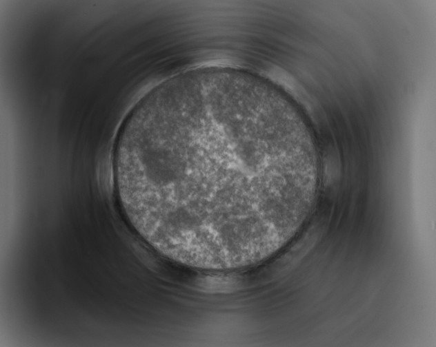 X0000092021274200710041037