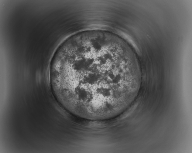 X0000092021275200710041037