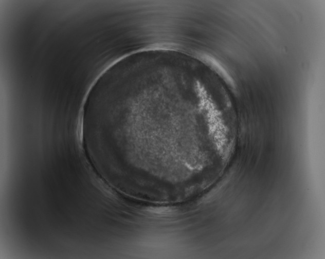 X0000092021276200710041037