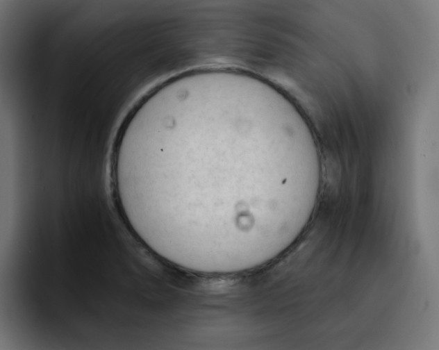 X0000092021278200710041037