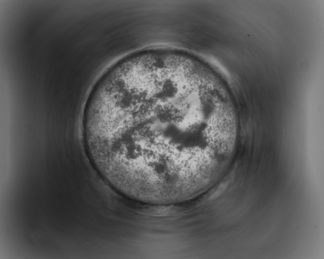 X0000092021279200710041037